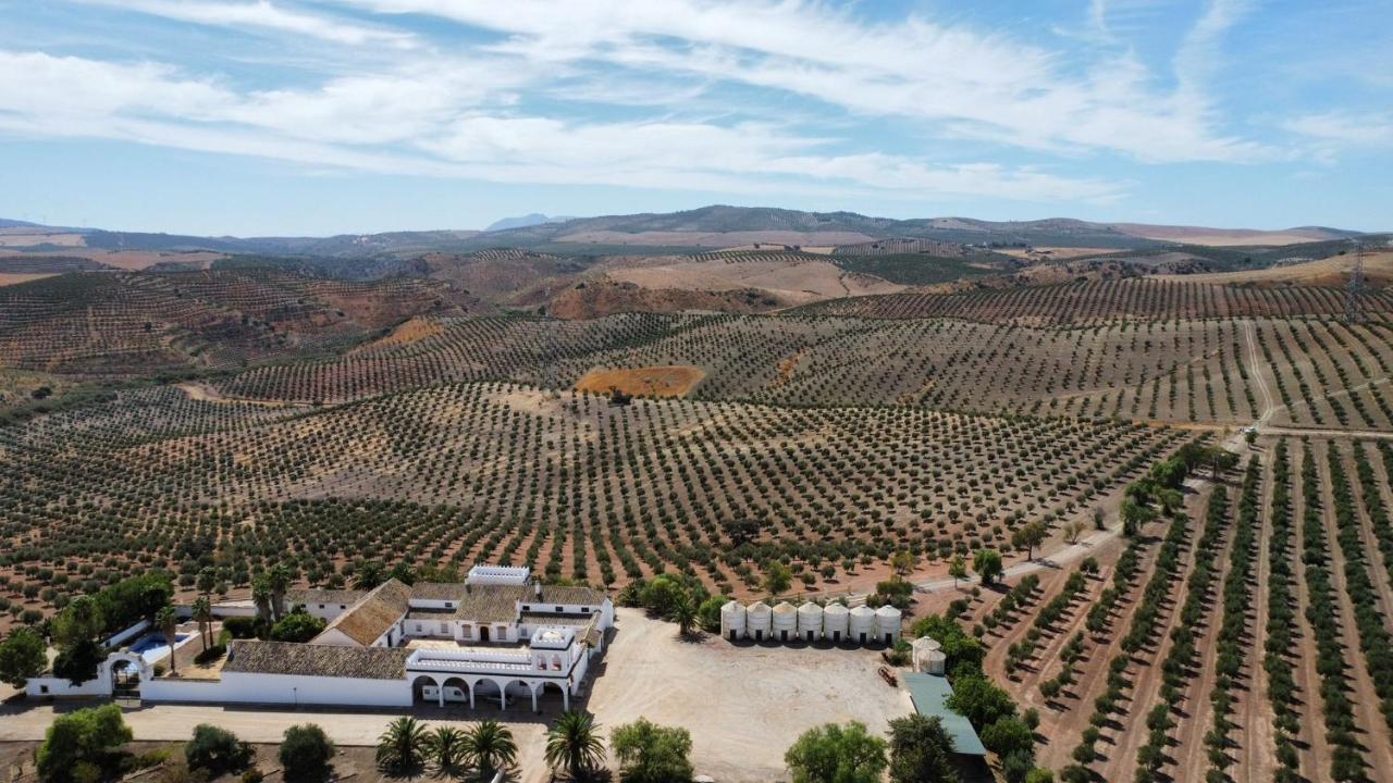 Villa Cortijo Donana La Puebla de Cazalla Exterior foto